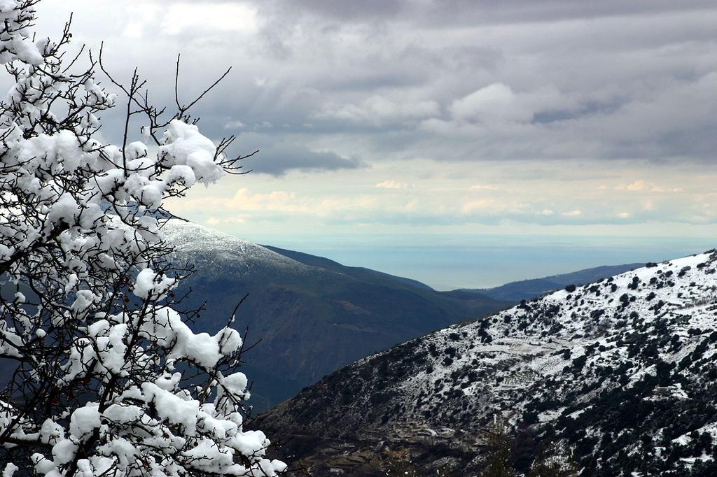 Hostal El Cascapenas De La Alpujarra Capileira Exteriör bild